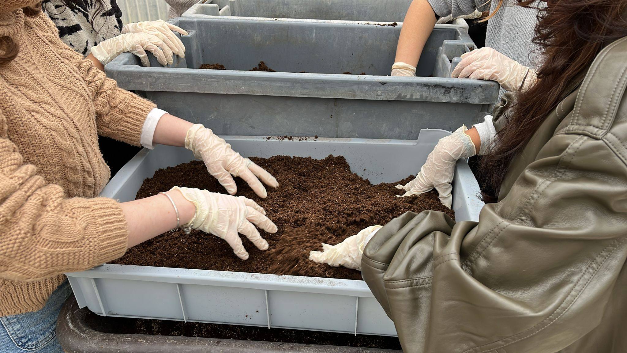 Escola fora de portas - projeto Farm4Future